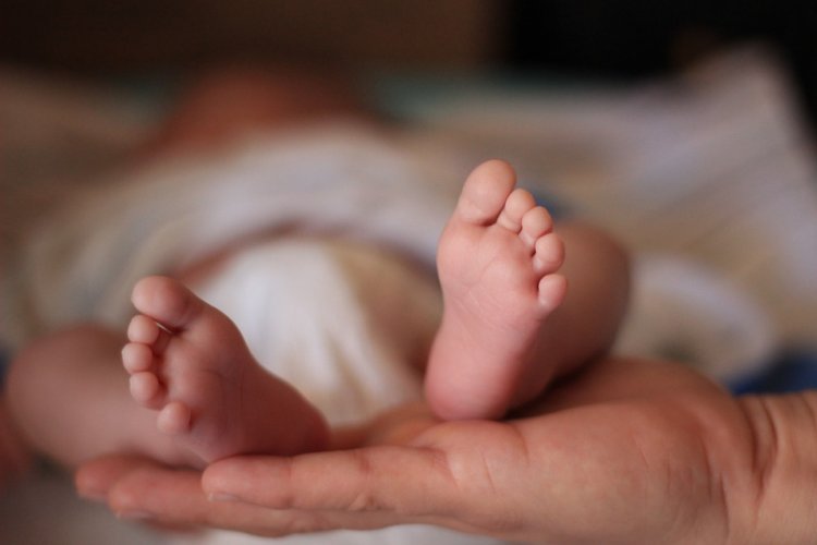 Родители 16 дней гуляли и фотографировали свою мертвую дочь Родители 16 дней гуляли и фотографировали свою мертвую дочь