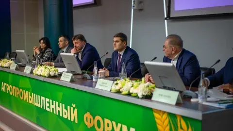 Экспорт агропродукции Башкирии вырос в три раза за шесть лет