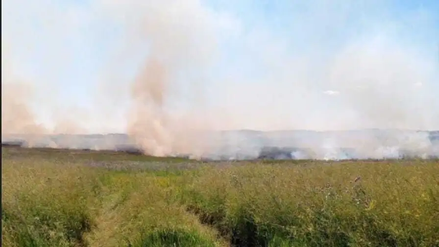 В Баймакском и Янаульском районах потушены возгорания сухой травы