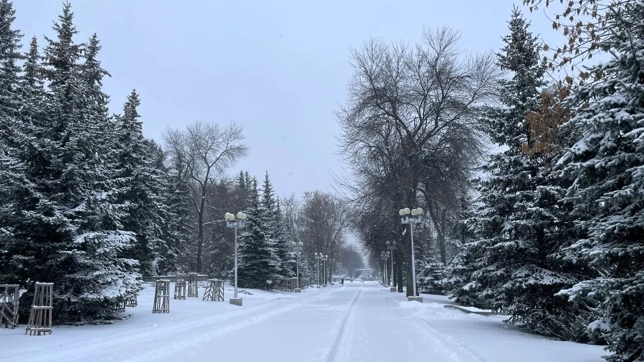 Мороз до -25° и порывистый ветер ожидаются в Башкортостане 12 февраля