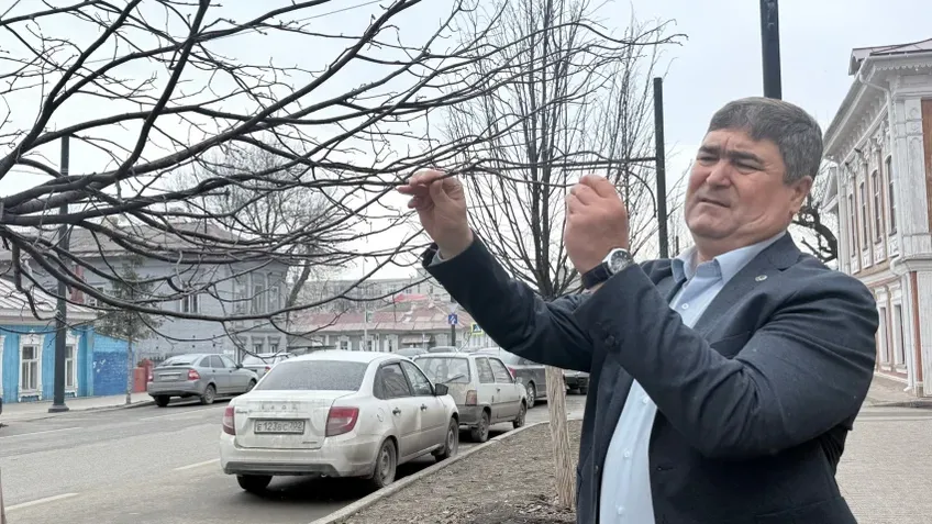 В Уфе с 4 апреля начнут замену аварийных деревьев на улицах Аксакова и Гоголя