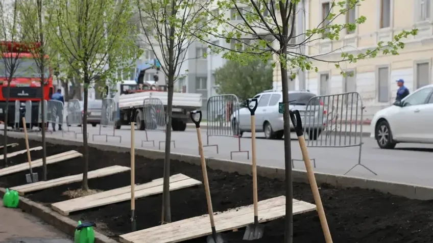 В Уфе планируют высадят более 1700 деревьев и 5400 кустарников