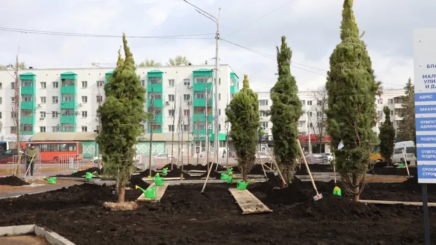 В Уфе в рамках акции «Зеленая Башкирия» за день высадили 538 деревьев