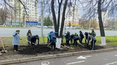 В Уфе вдоль проспекта Октября высаживают шиповник с необычным названием
