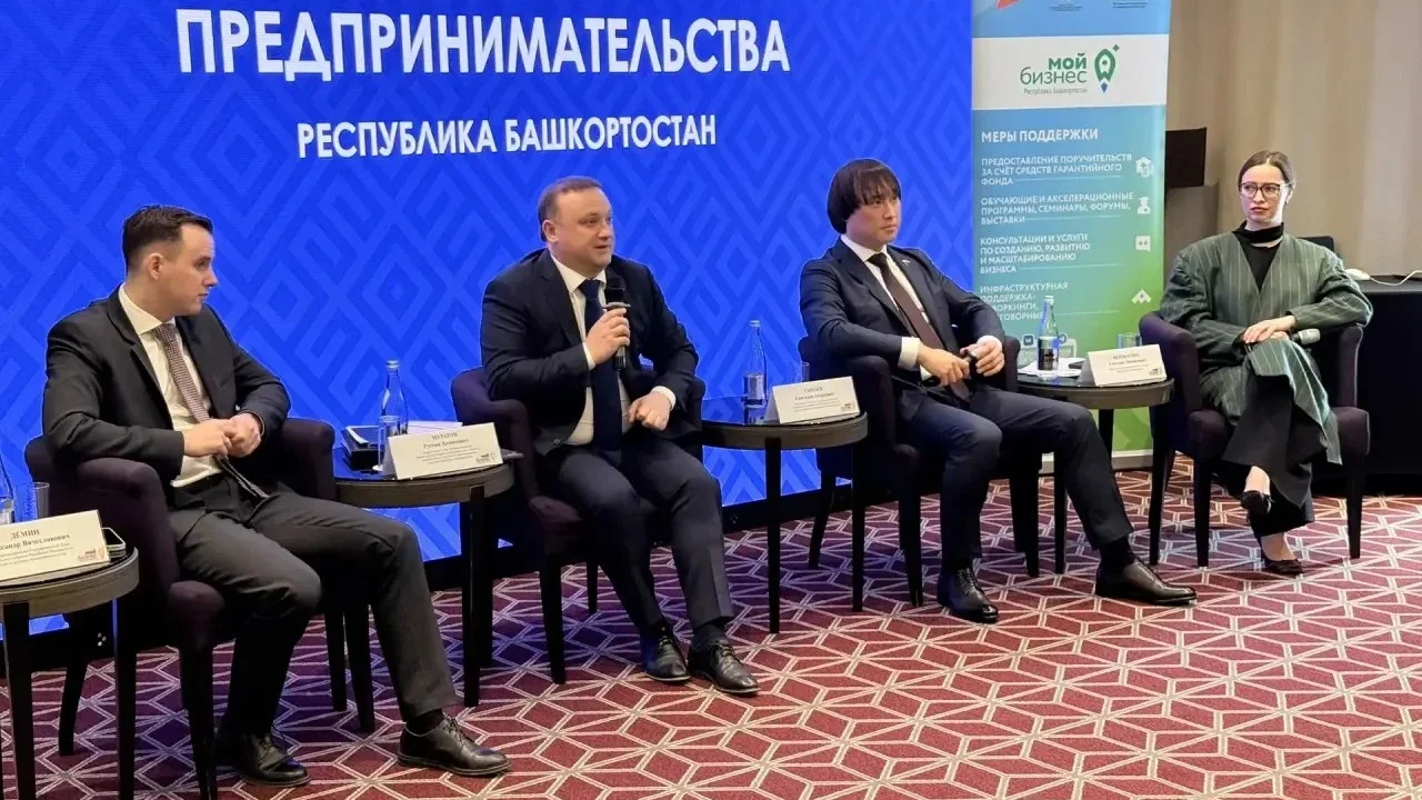 В Уфе обсудили поддержку молодых предпринимателей и развитие туризма
