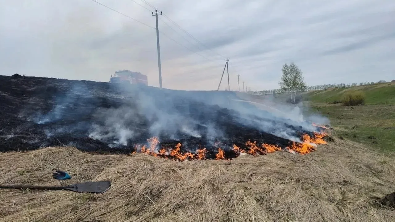 В Башкирии за сутки потушили 2 возгорания сухой растительности